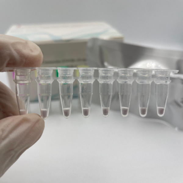 冷冻干燥的新型冠状病毒（Covid-19）核检测试剂盒（荧光PCR方法）